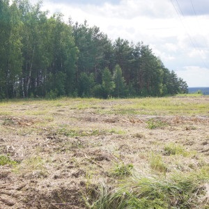 Вырубка кустарника под ЛЭП, очистка земель сельскохозяйственного назначения от ДКР, уничтожение вырубка дикорастущей растительности