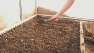 Подготовка почвы под посадку