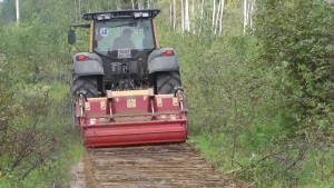 Расчистка трасс ЛЭП - лучшая профилактика аварийных ситуаций на объектах электроснабжения