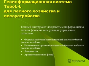Мастер по лесному хозяйству