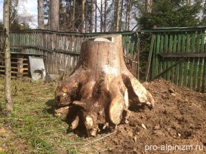 Корчевание пней